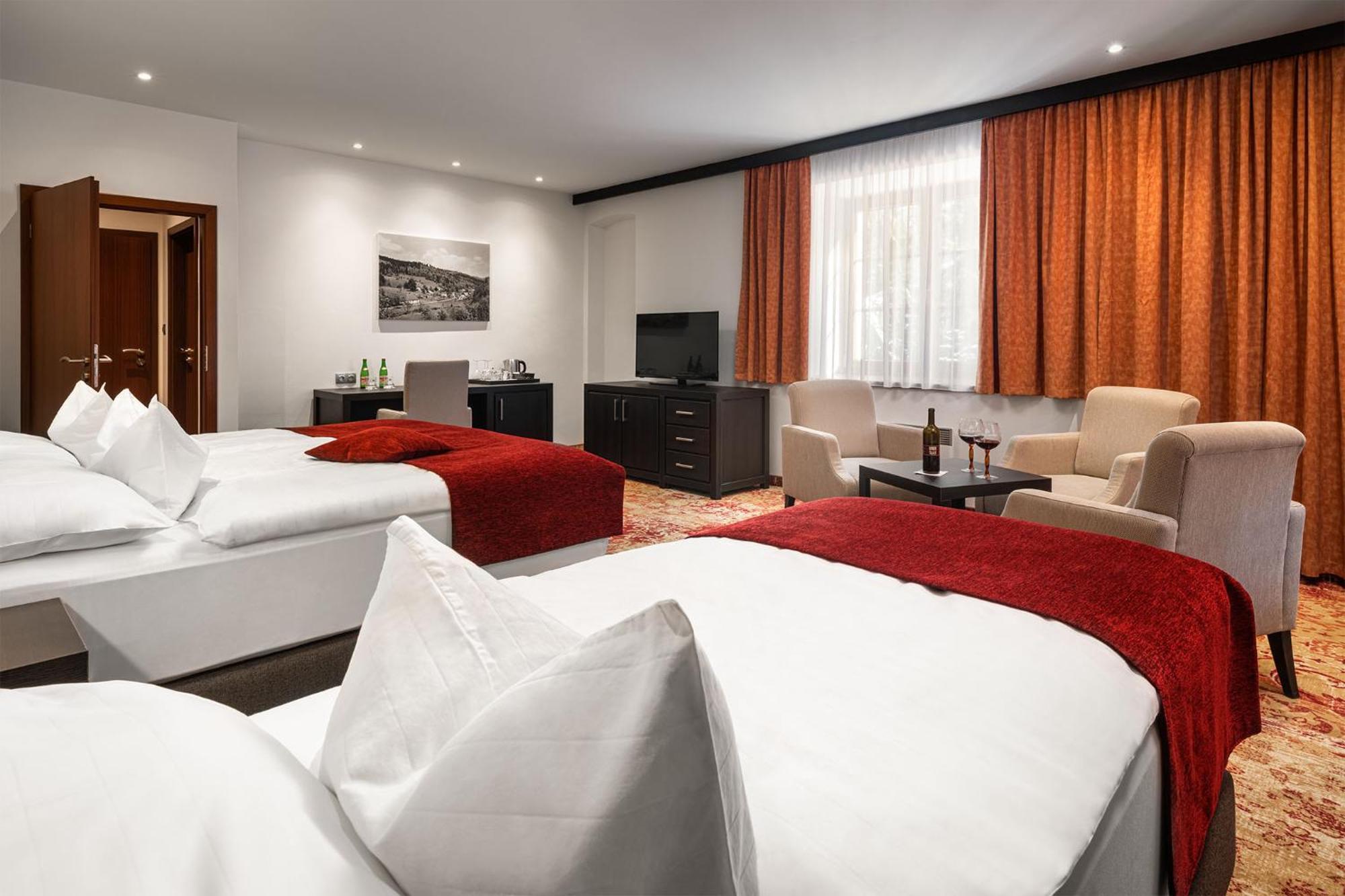Hotel Singer Ludvíkov Kamer foto
